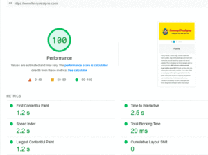 Page Speed Insights